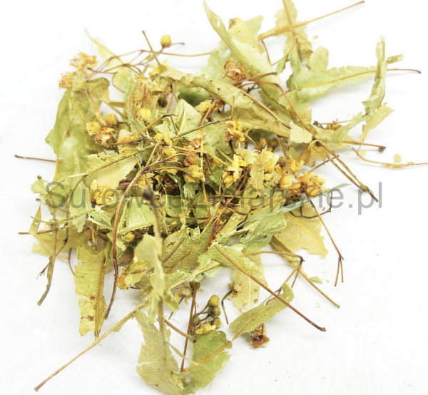 Lipa (kwiat)